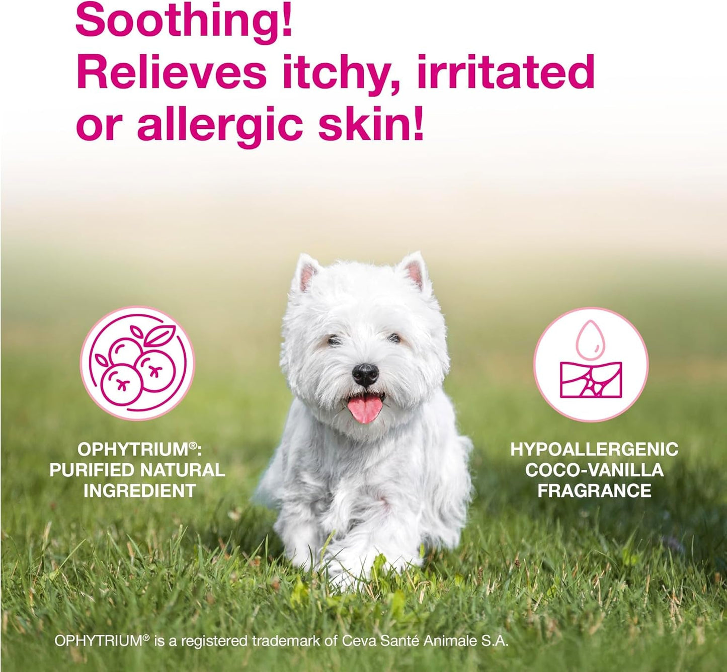Calm Dog Shampoo & Itch Soothing Mousse Bundle for Dogs Cats