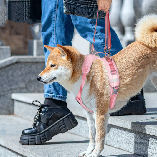 Split Assisted Chest Strap For Disabled Dogs