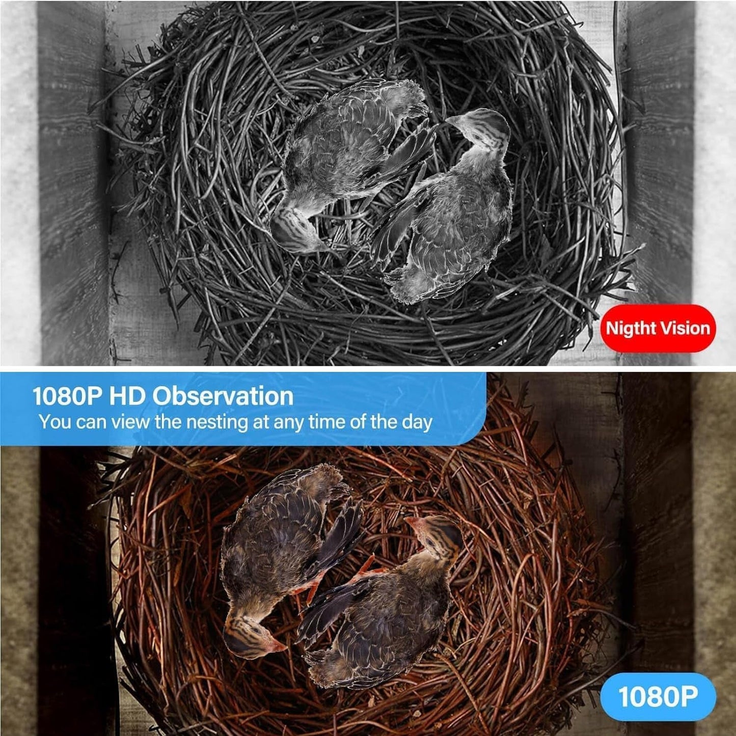 Bird House Camera Solar WiFi 1080P HD Motion Detection Night Vision