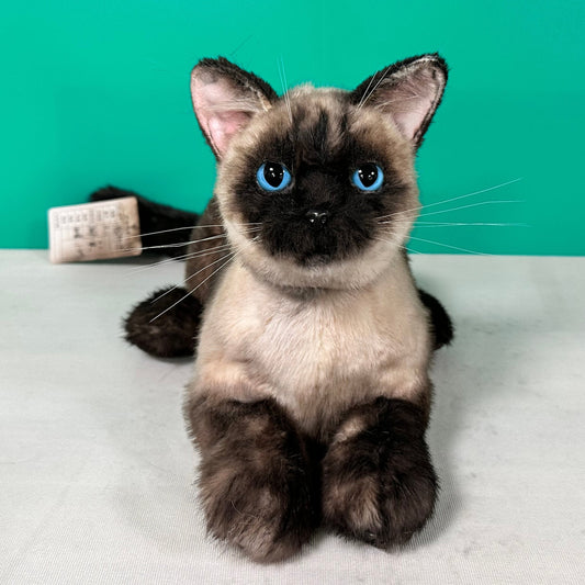 Plush Siamese Shorthair Cat-Weighted-Handmade Life-Size Companion & Pet Memorial