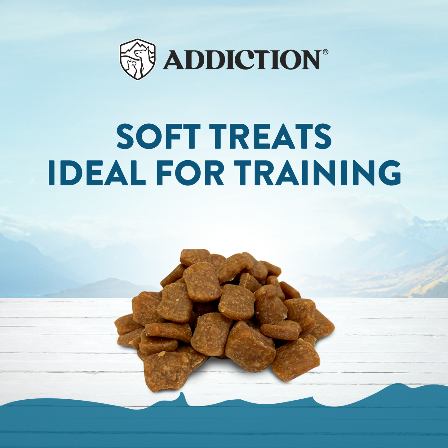 Beef Meaty Bites - Hypoallergenic Dog Treats