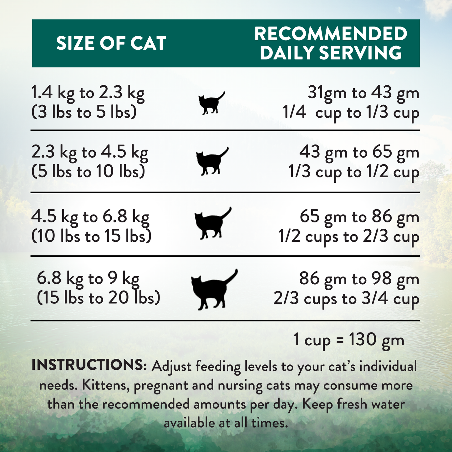 Wild Islands Island Bird Premium Duck Turkey & Chicken Dry Cat Food