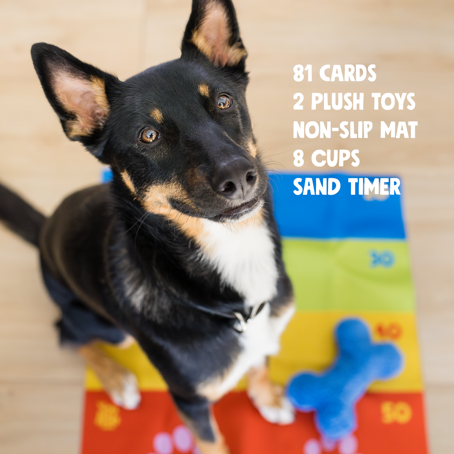  The Dog's Best Friend Game close-up