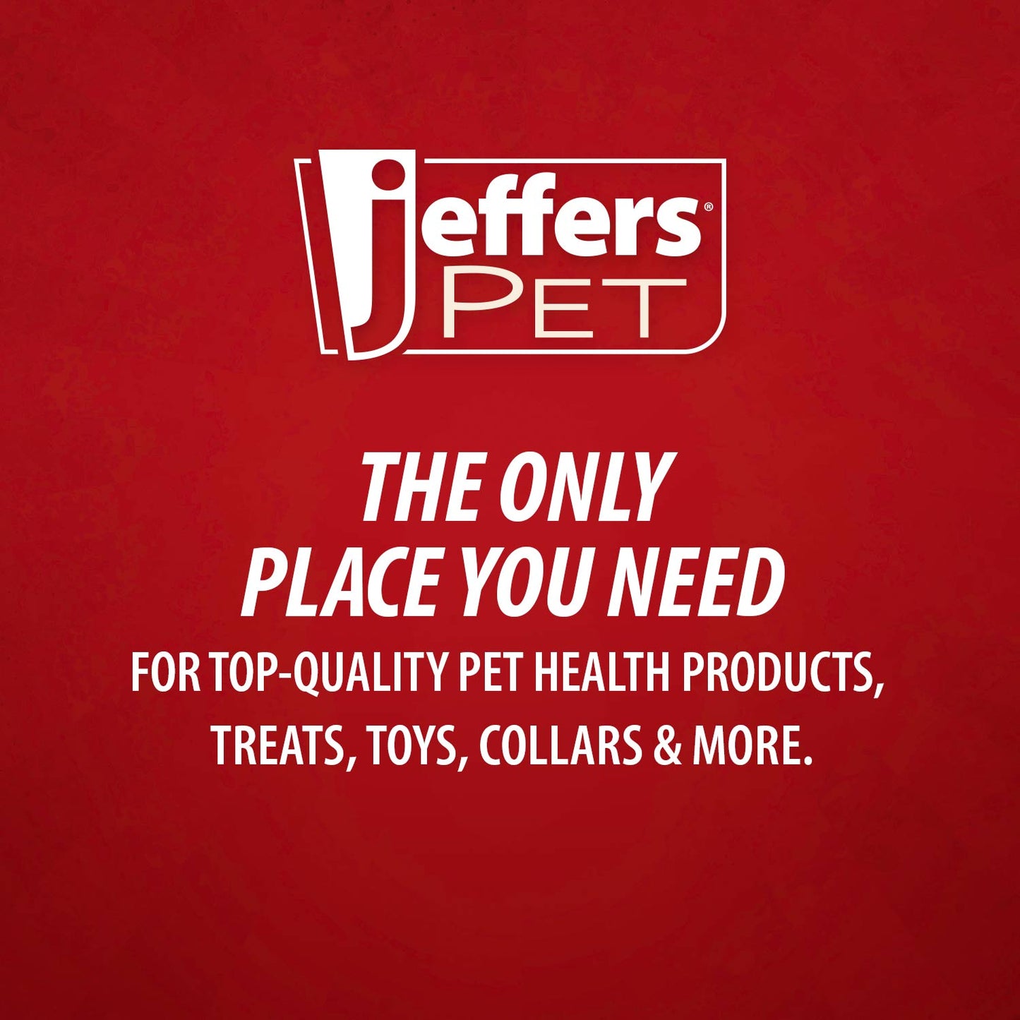 Jeffers T-Rex Natural Rubber Treat Dispensing Dental Dog Chew Toy for Medium Chewers with Vanilla Scent