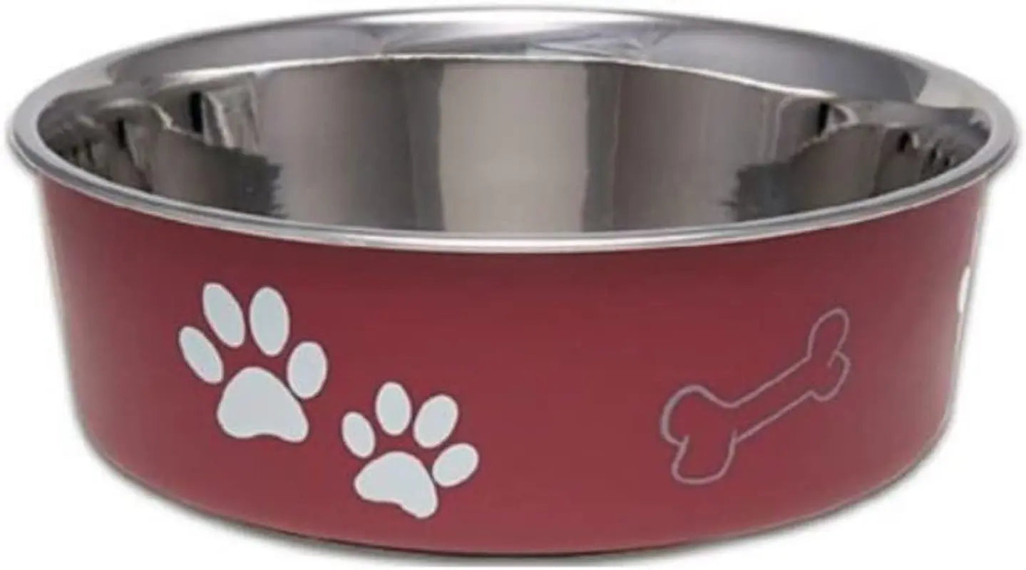 Stainless Steel Dog & Cat Bowl | Spill-Resistant Feeding Bowl (various colors)